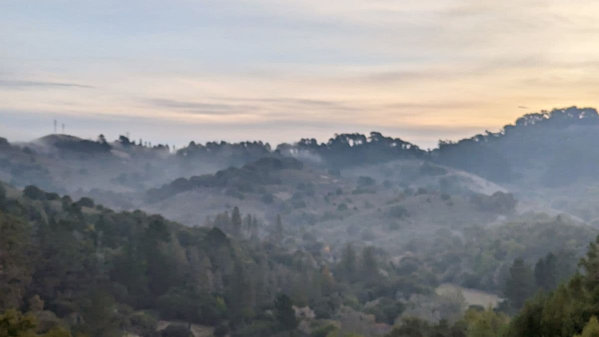 Tilden Regional Park
